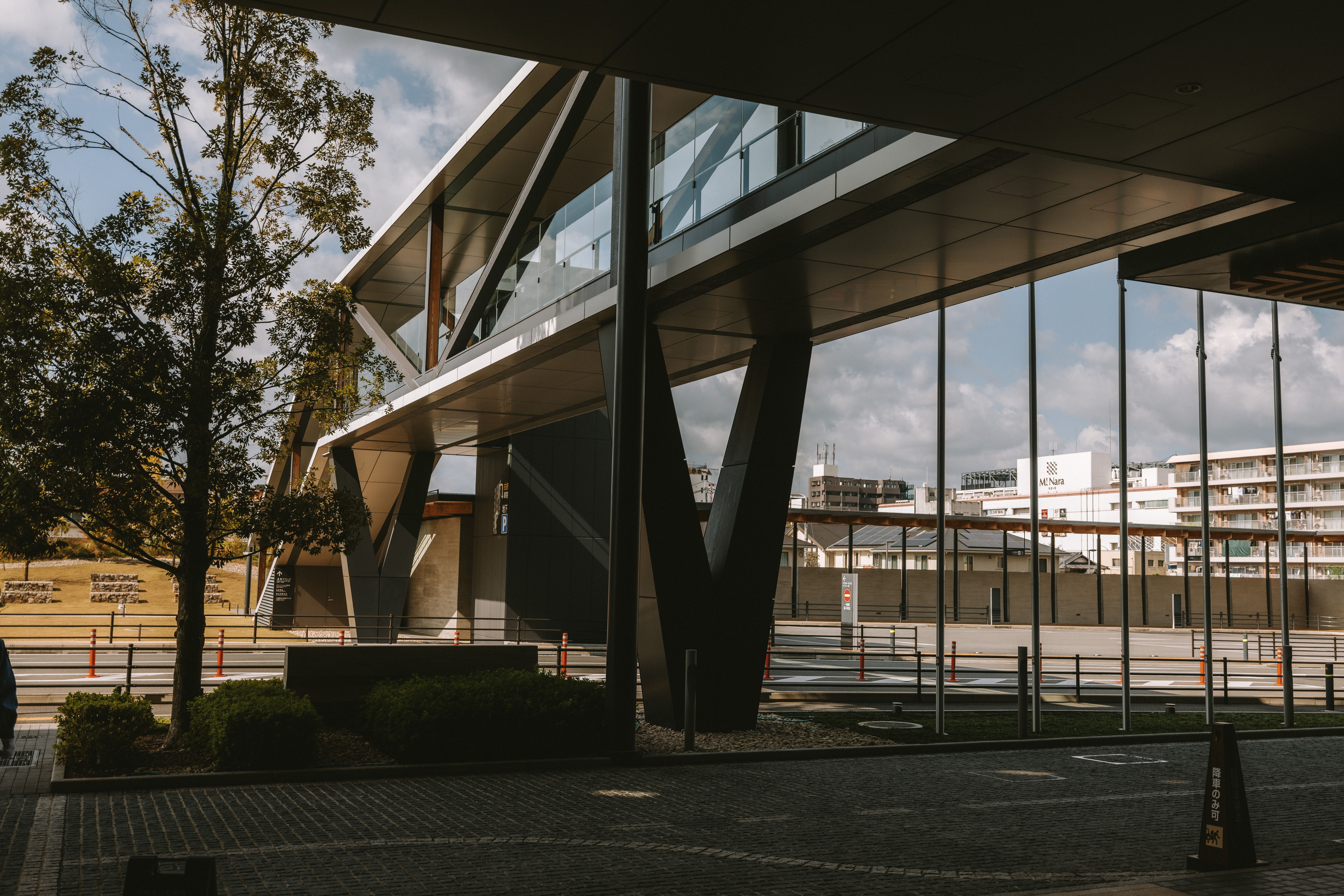 Steel columns and dramatic side-lighting under a highway overpass